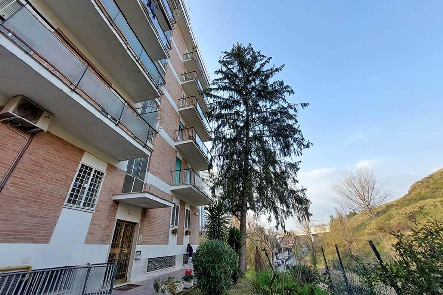 La Casa Di Flavia Hotel Rome Exterior photo